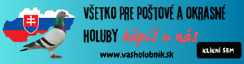 Vas holubnik